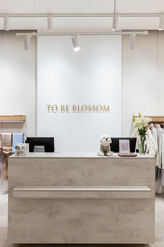 To Be Blossom, сеть магазинов одежды - освещение рис.2